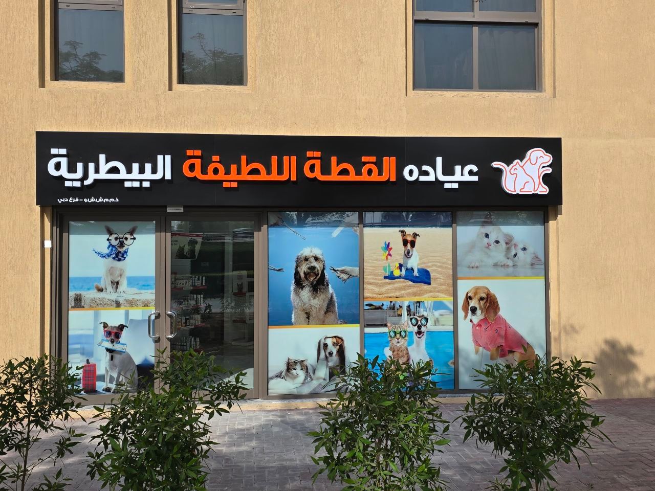 Cute Cat Veterinary Clinic 3