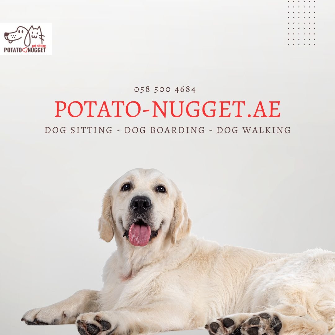 Potato Nugget photo 2