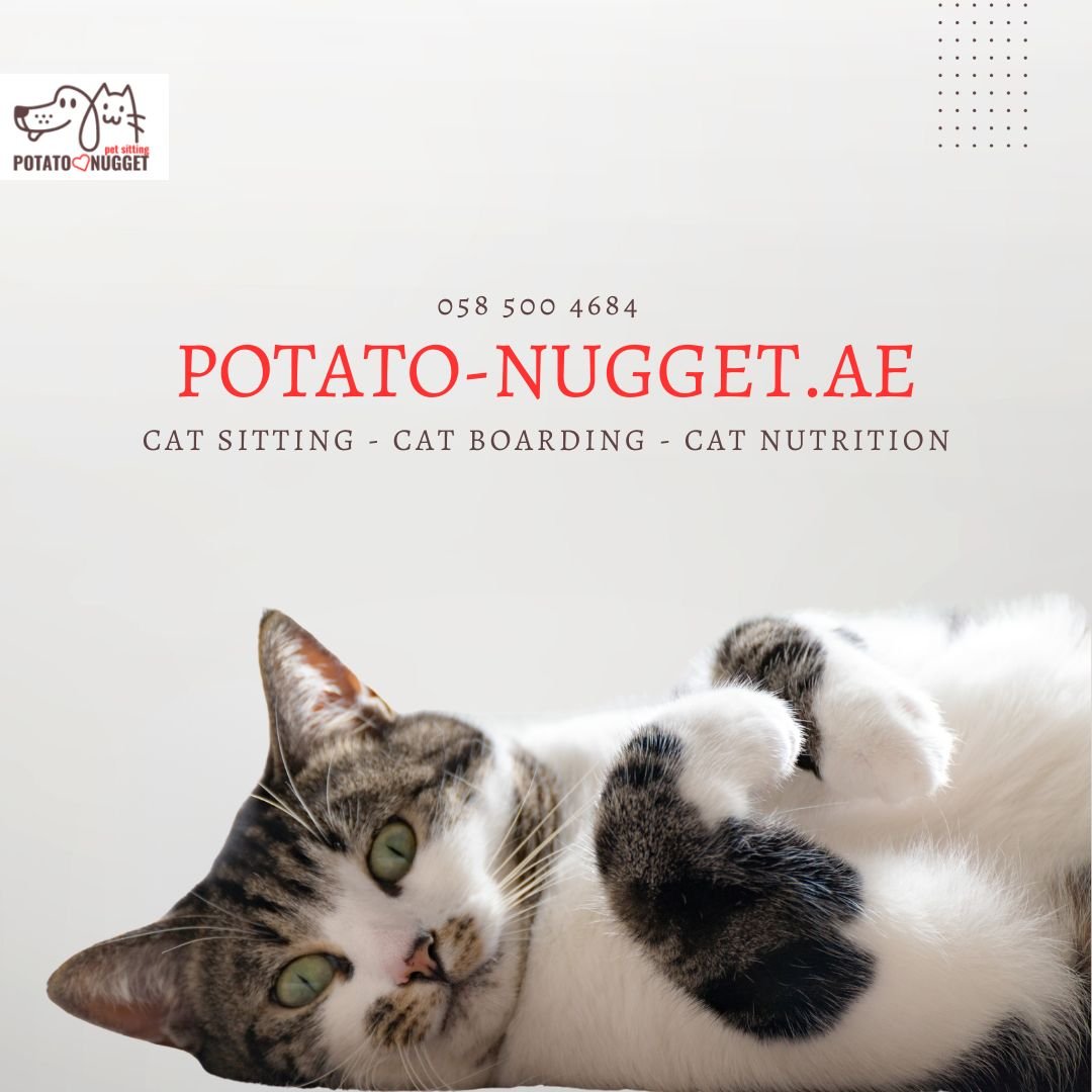Potato Nugget photo 4