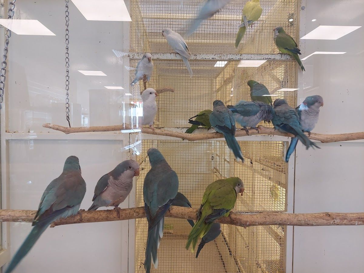 Animal World Petshop 3