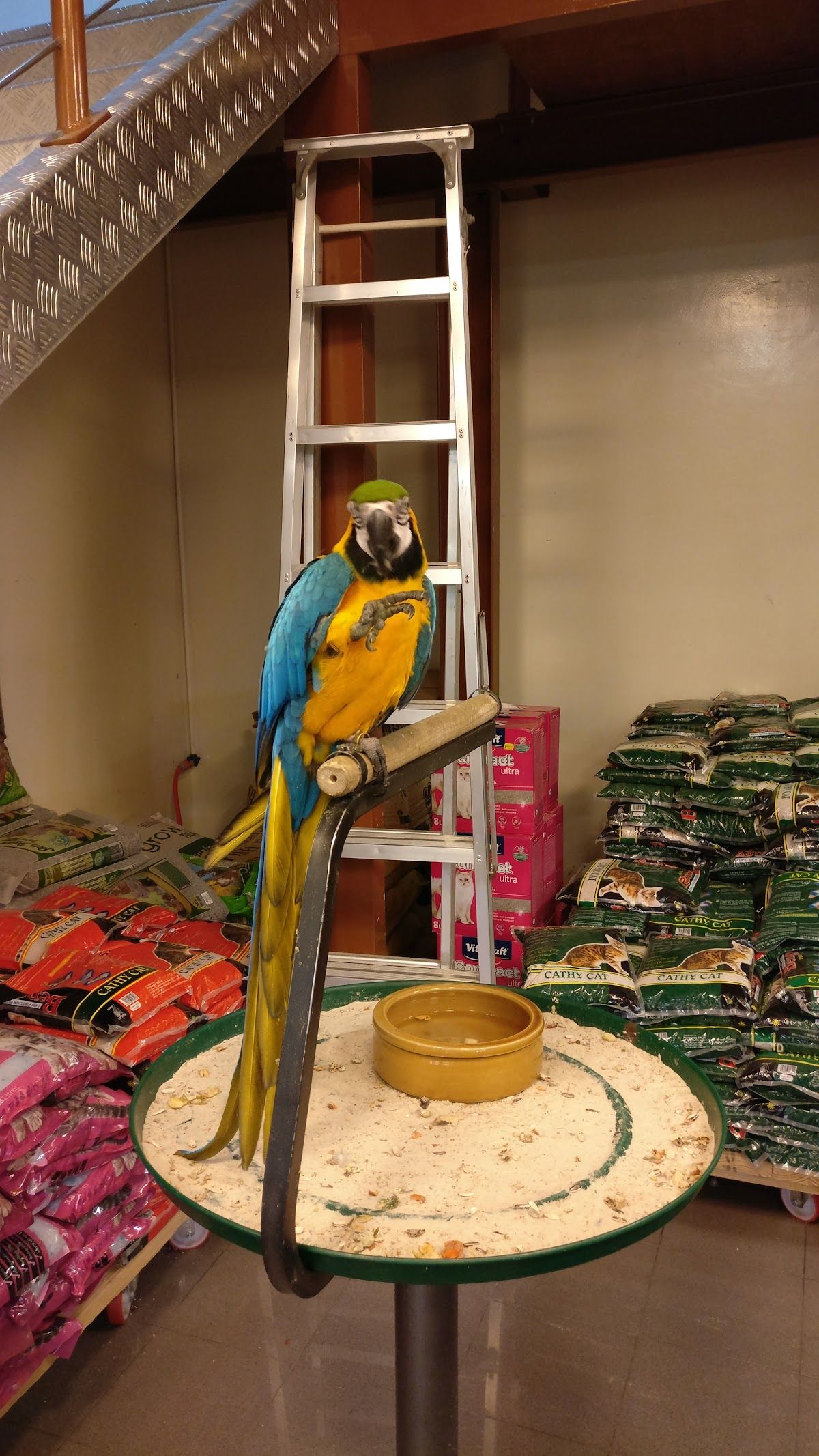 Animal World Petshop 4