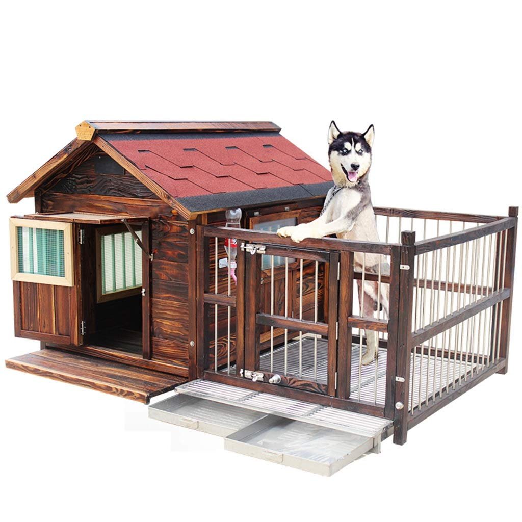 Legand dog training k9 photo 4