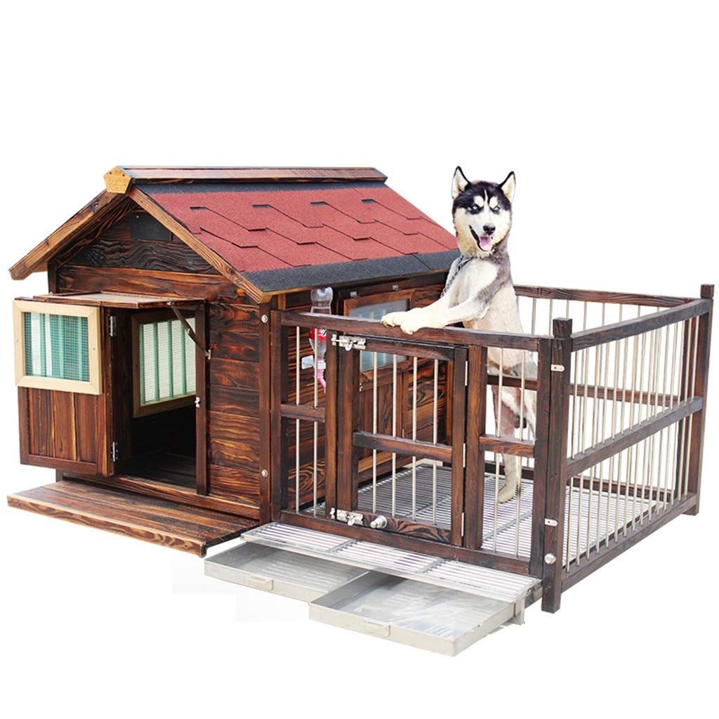 Legand dog training k9 4