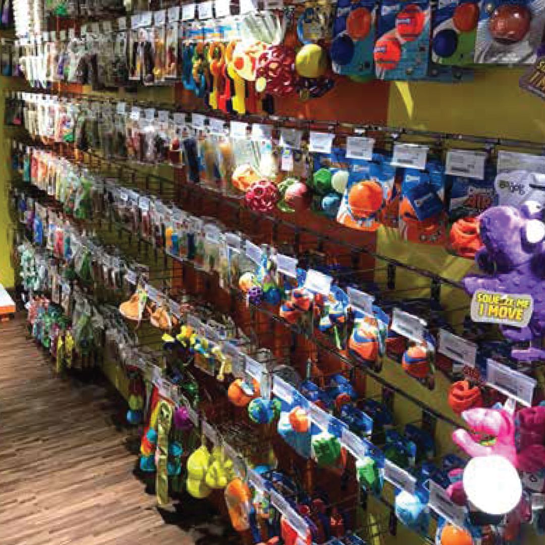 Pet Corner - Jumeriah Park Pet Shop 2