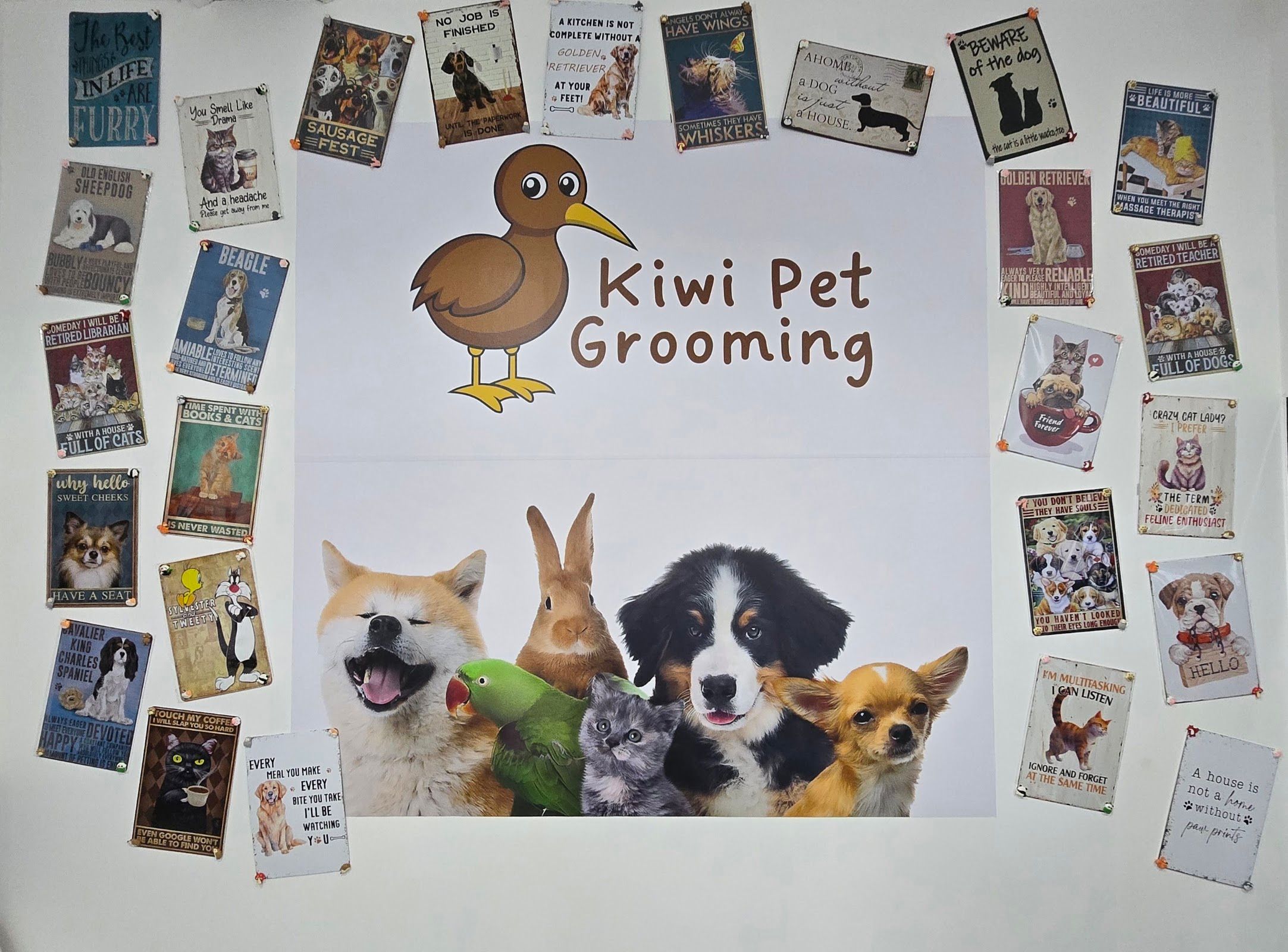 Kiwi Pet Grooming 2