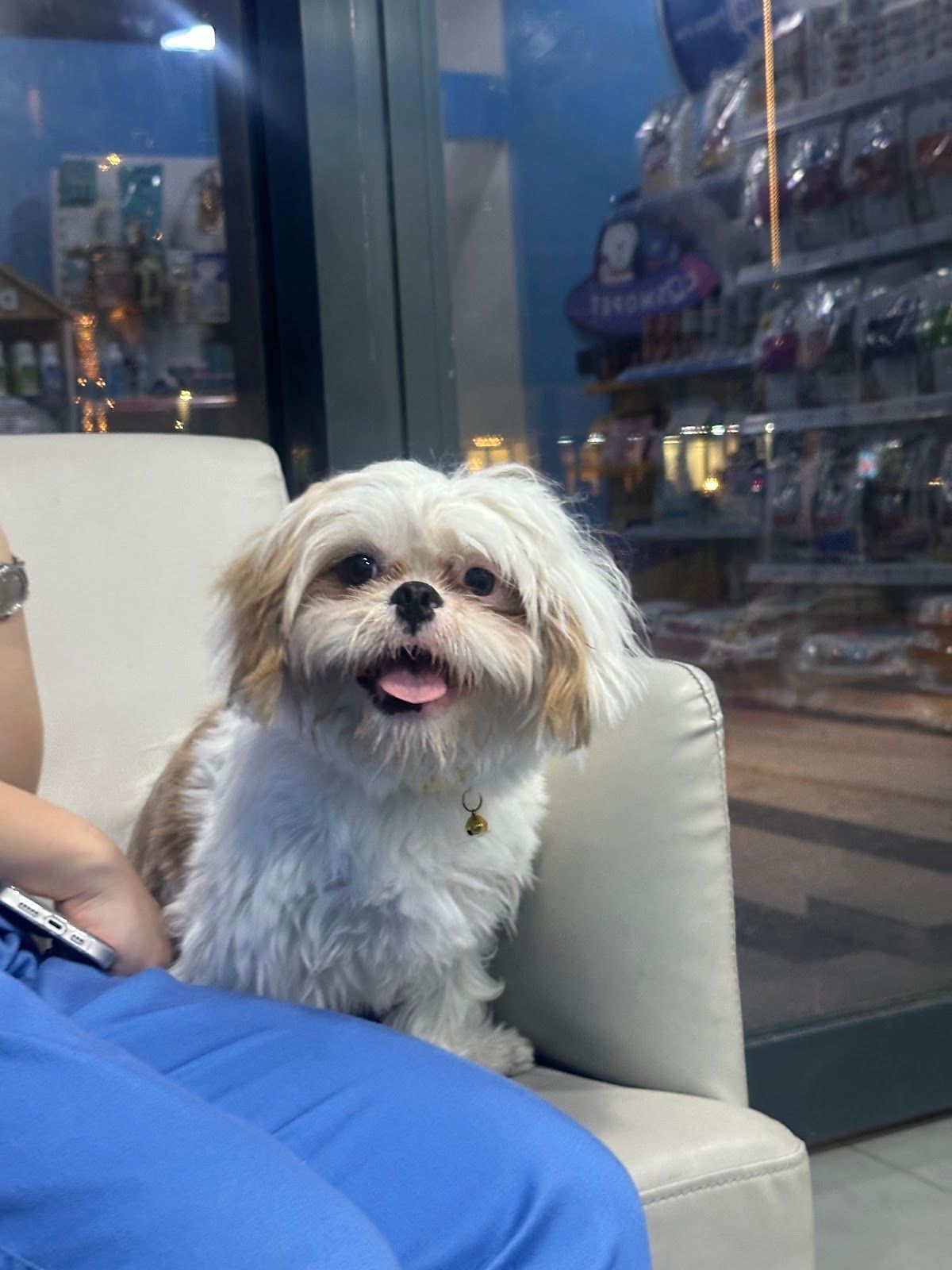 Star Safe Care Veterinary Clinic L.L.C - FZ 2