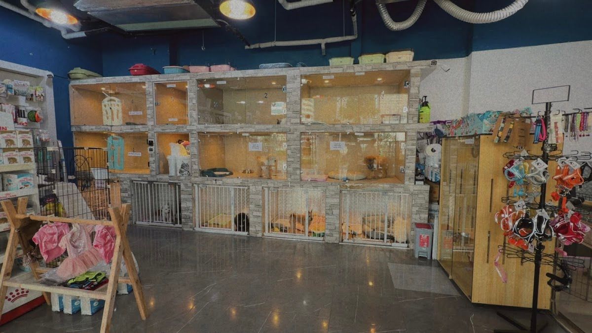 Tom and Jerry Pet Shop and Nursery 5
