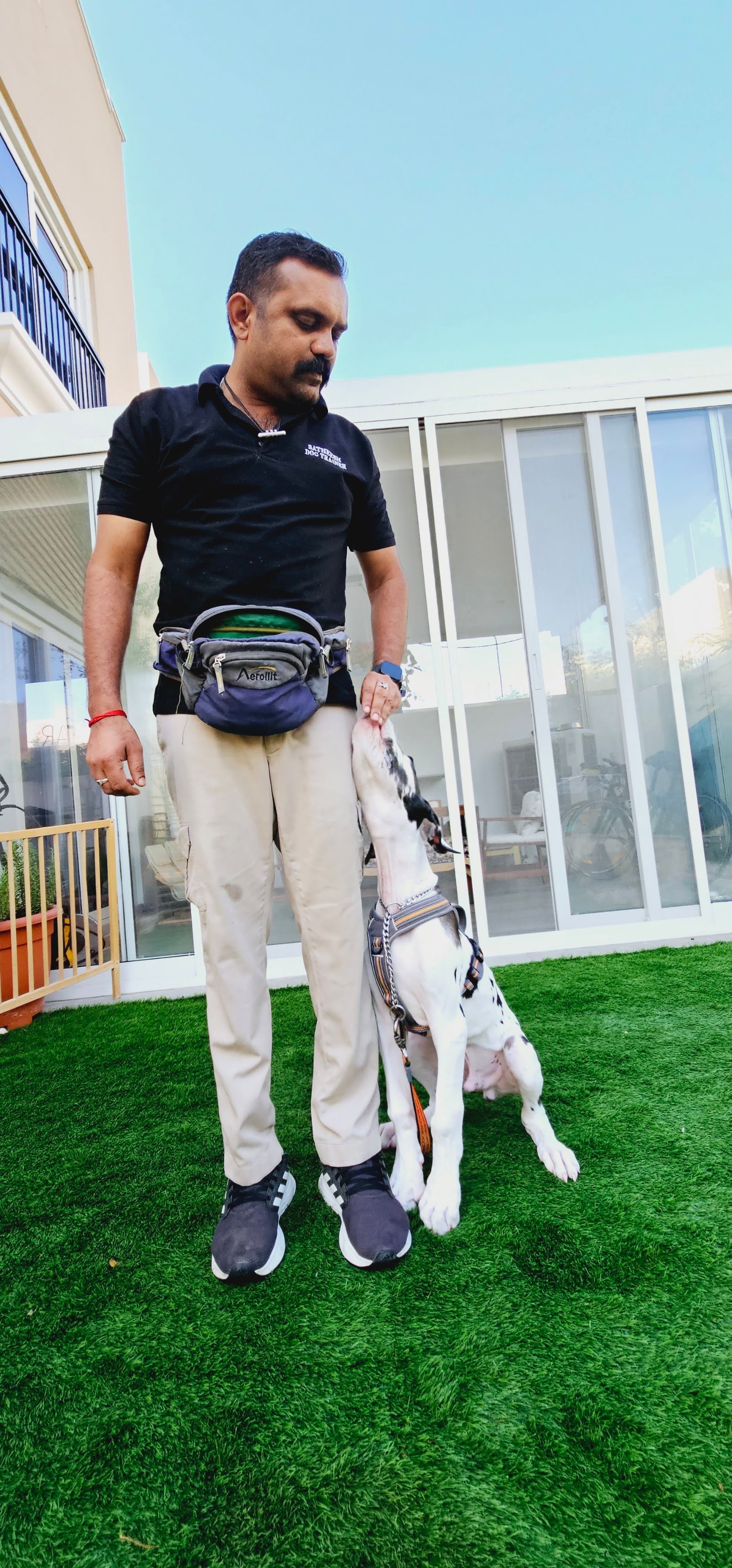 SRK9 Dog Training
