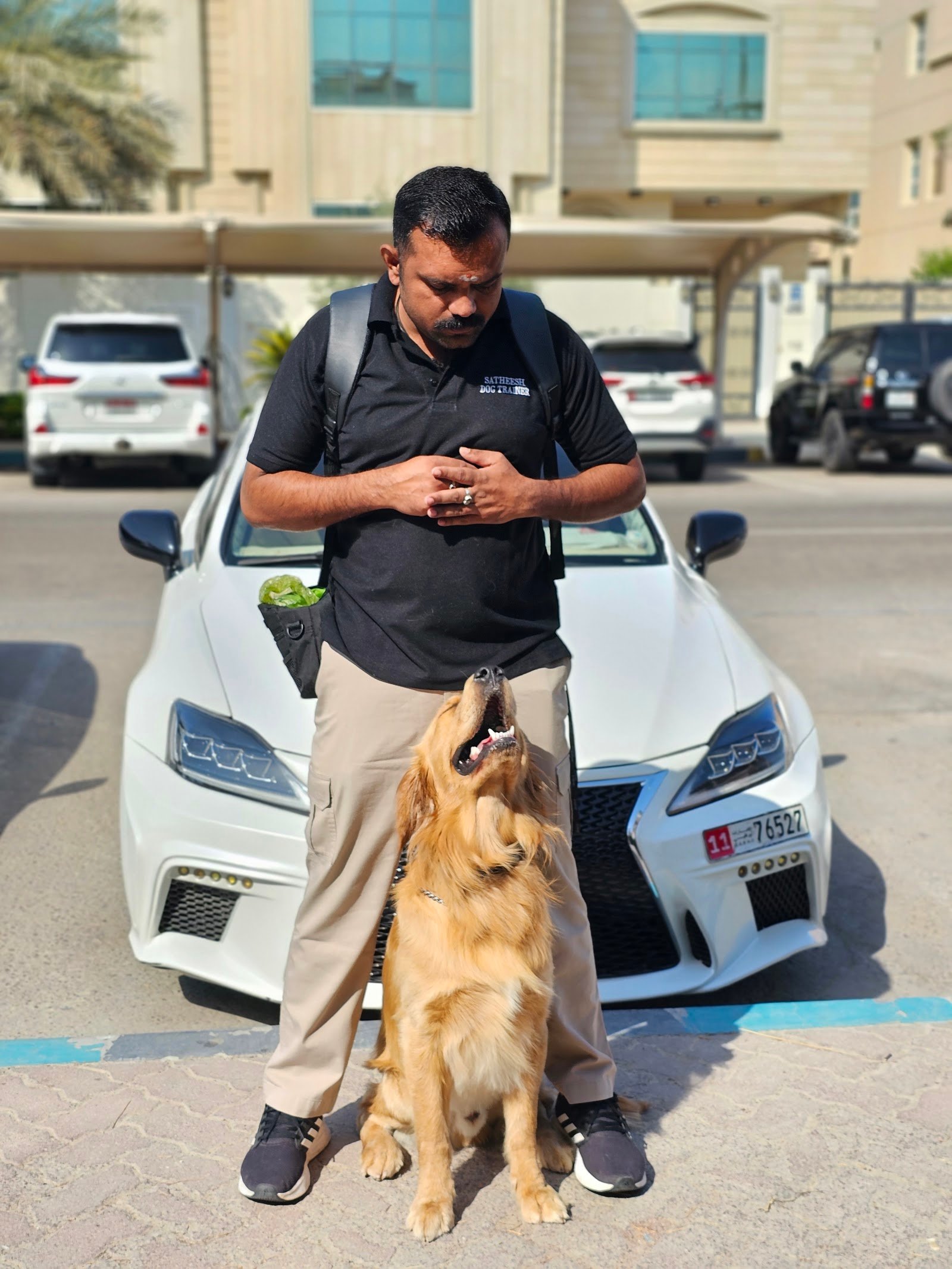 SRK9 Dog Training photo 2