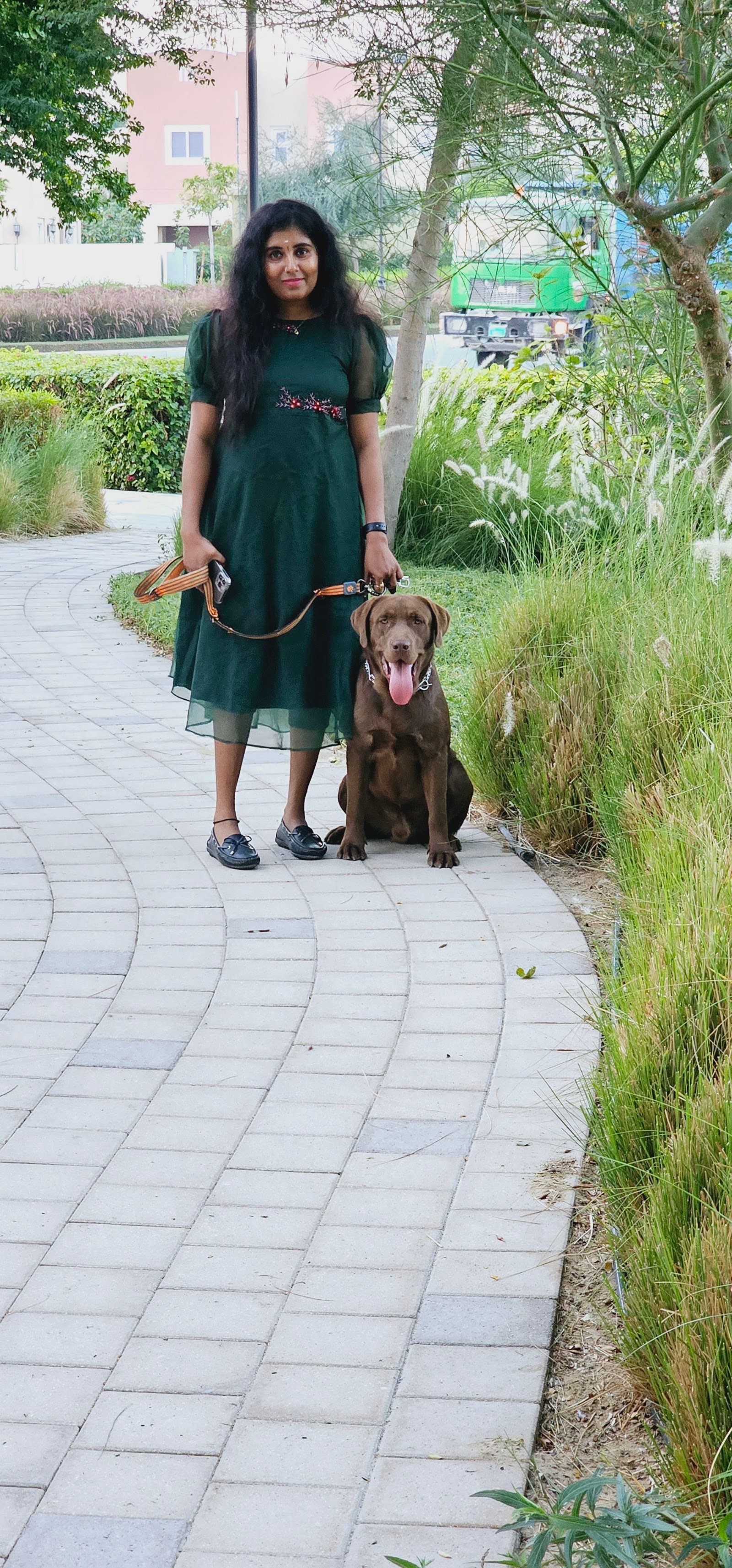 SRK9 Dog Training photo 5