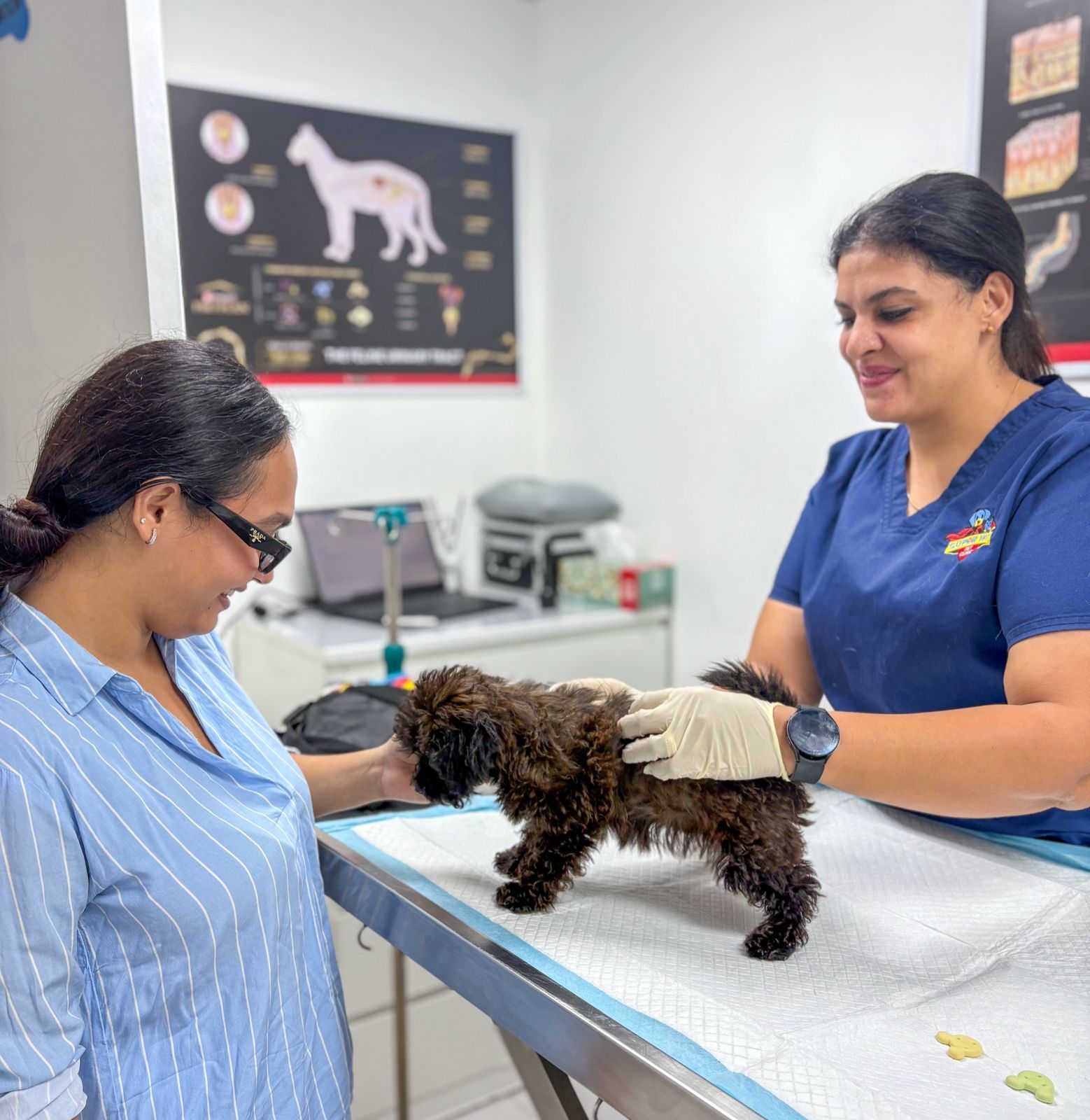 Super Vet Pet Clinic LLC 2