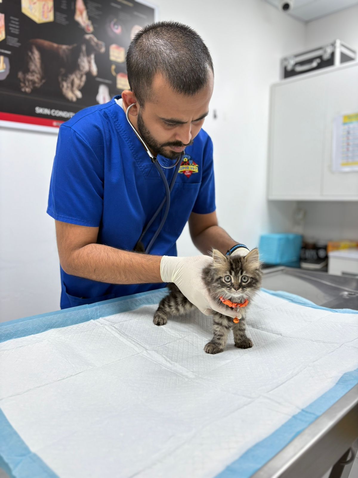 Super Vet Pet Clinic LLC 3