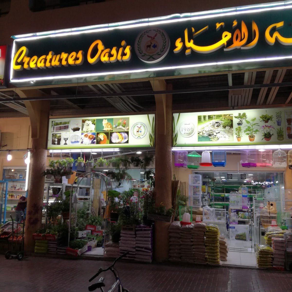 Creatures Oasis