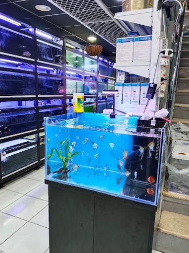 Creatures Oasis 5