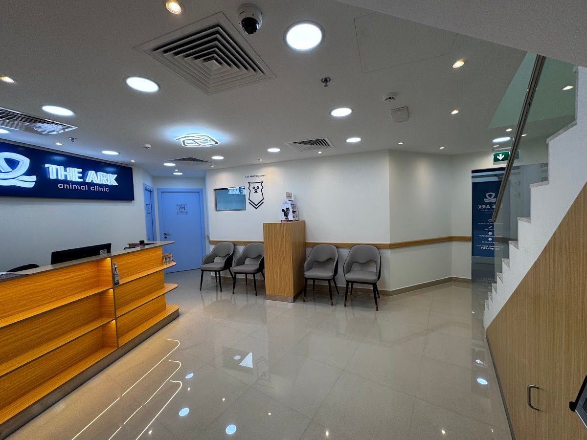 The Ark Animal Clinic 2