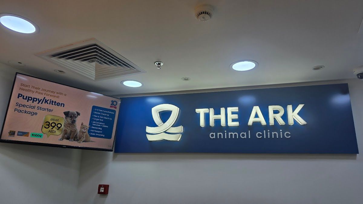 The Ark Animal Clinic 3