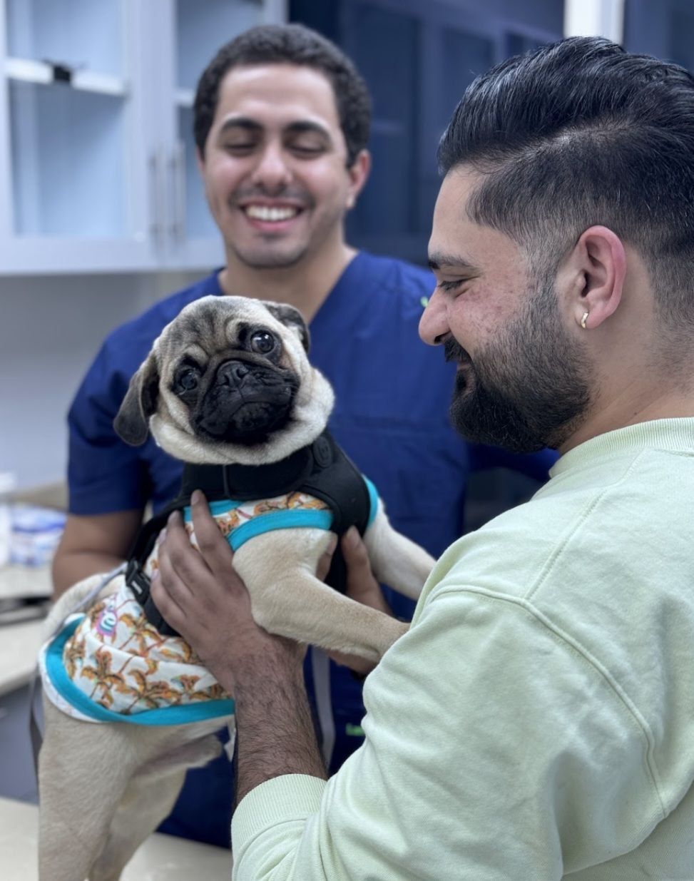 The Ark Animal Clinic 5