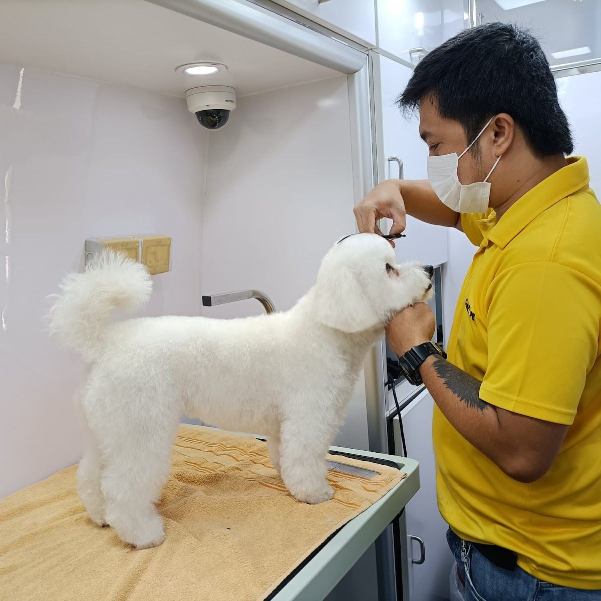 Jack Pet Grooming Salon - Mobile Grooming for Pet’s in Abu Dhabi 2