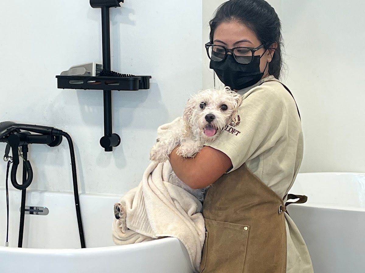 Pet Loft Dubai 4