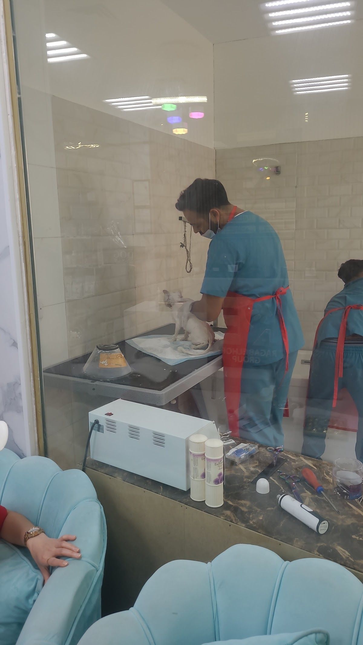 Liberty veterinary clinic Aljaddaf 3