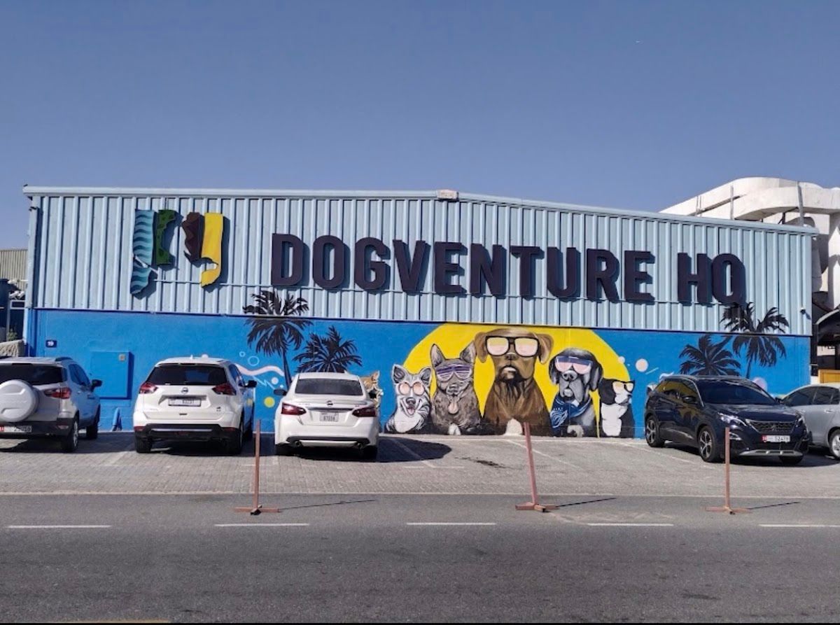 Dogventurez Vet Clinic 3