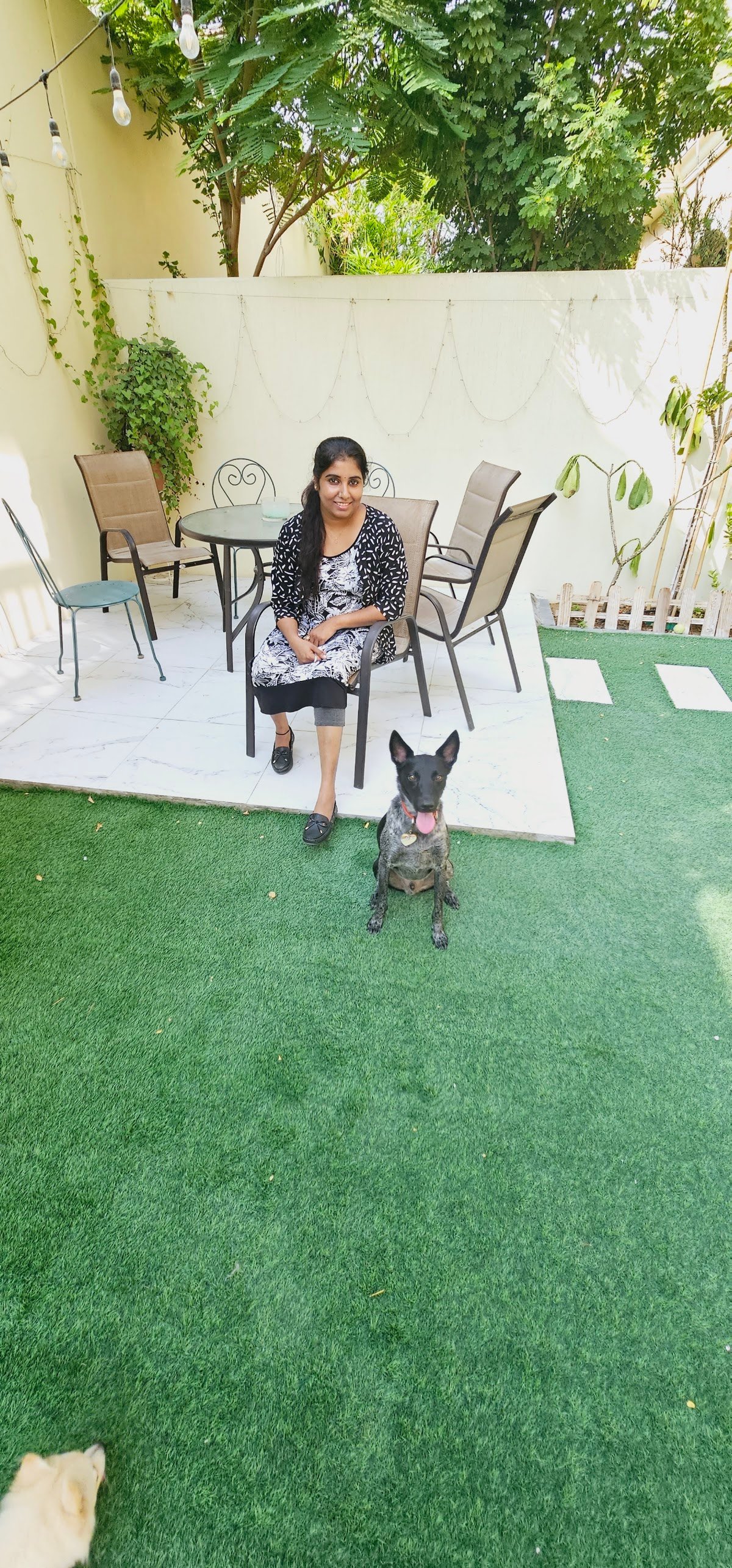 SRK9 Dog Training Abudhabi photo 2