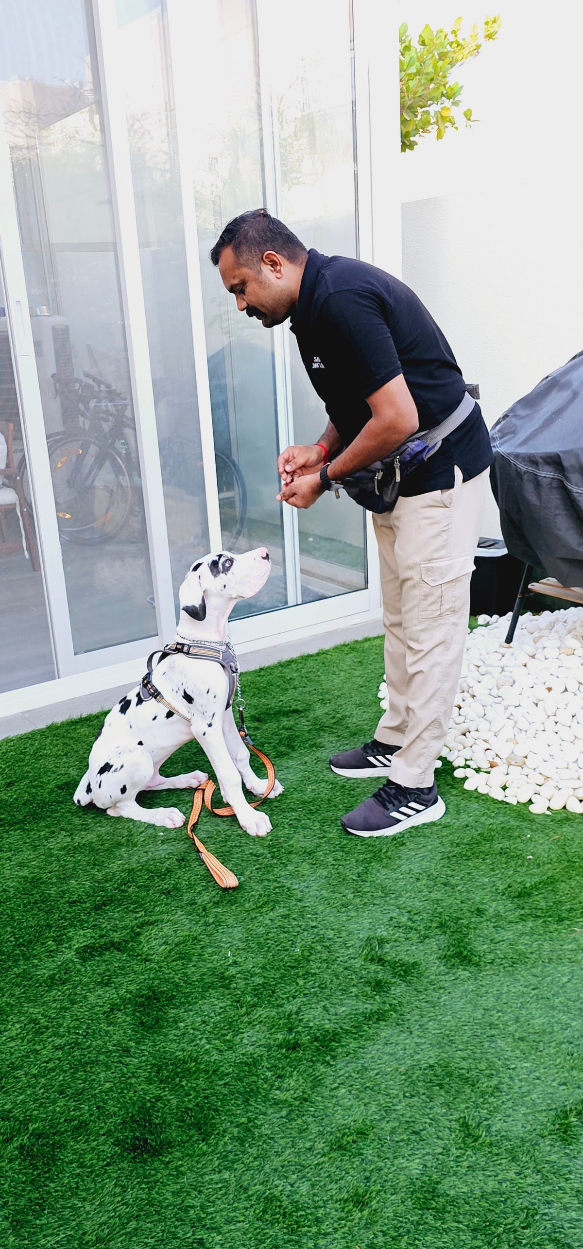 SRK9 Dog Training Abudhabi photo 3