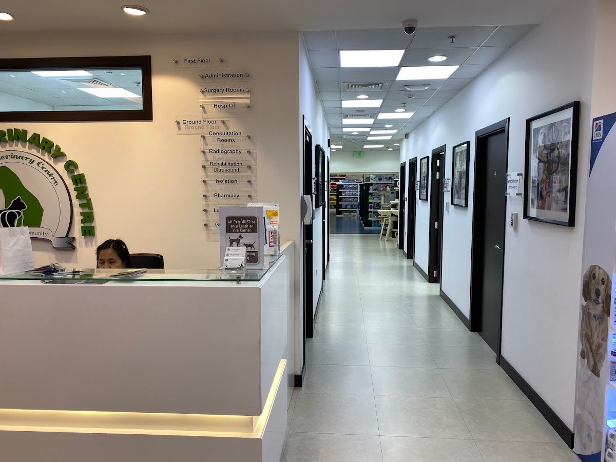 Noble Veterinary Clinic DIP 5