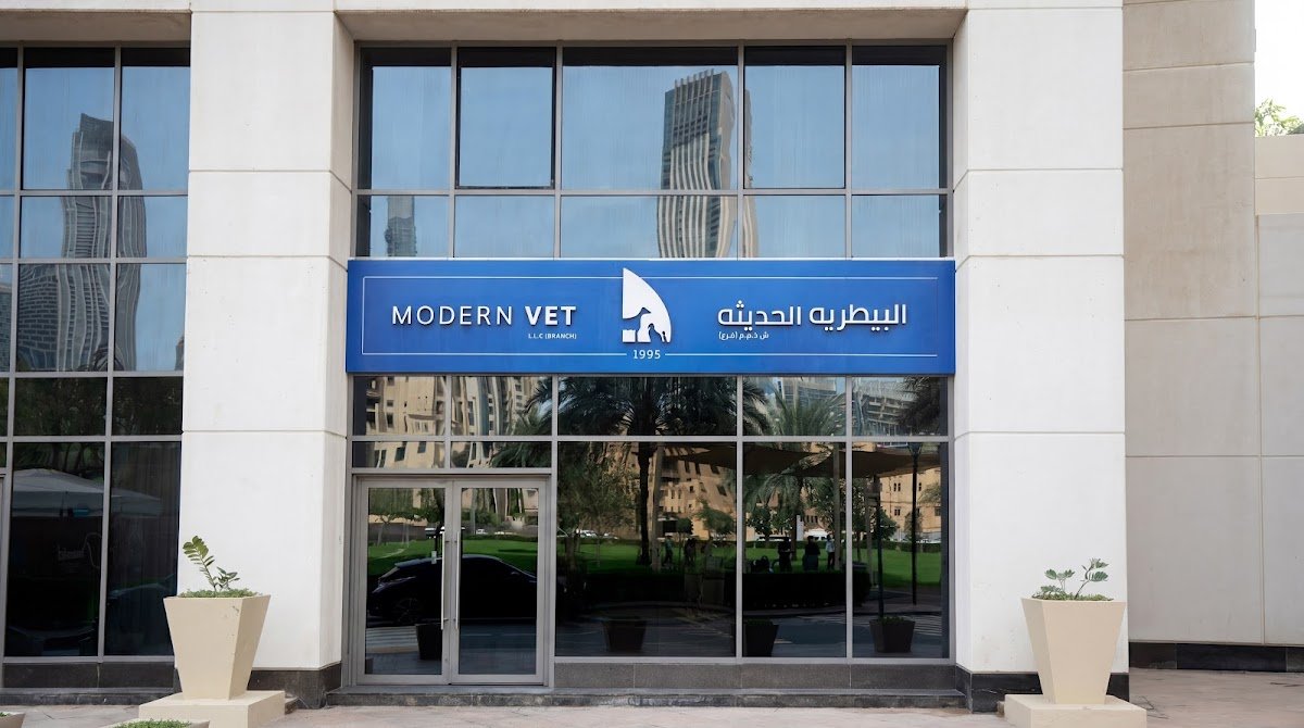 Modern Vet Downtown