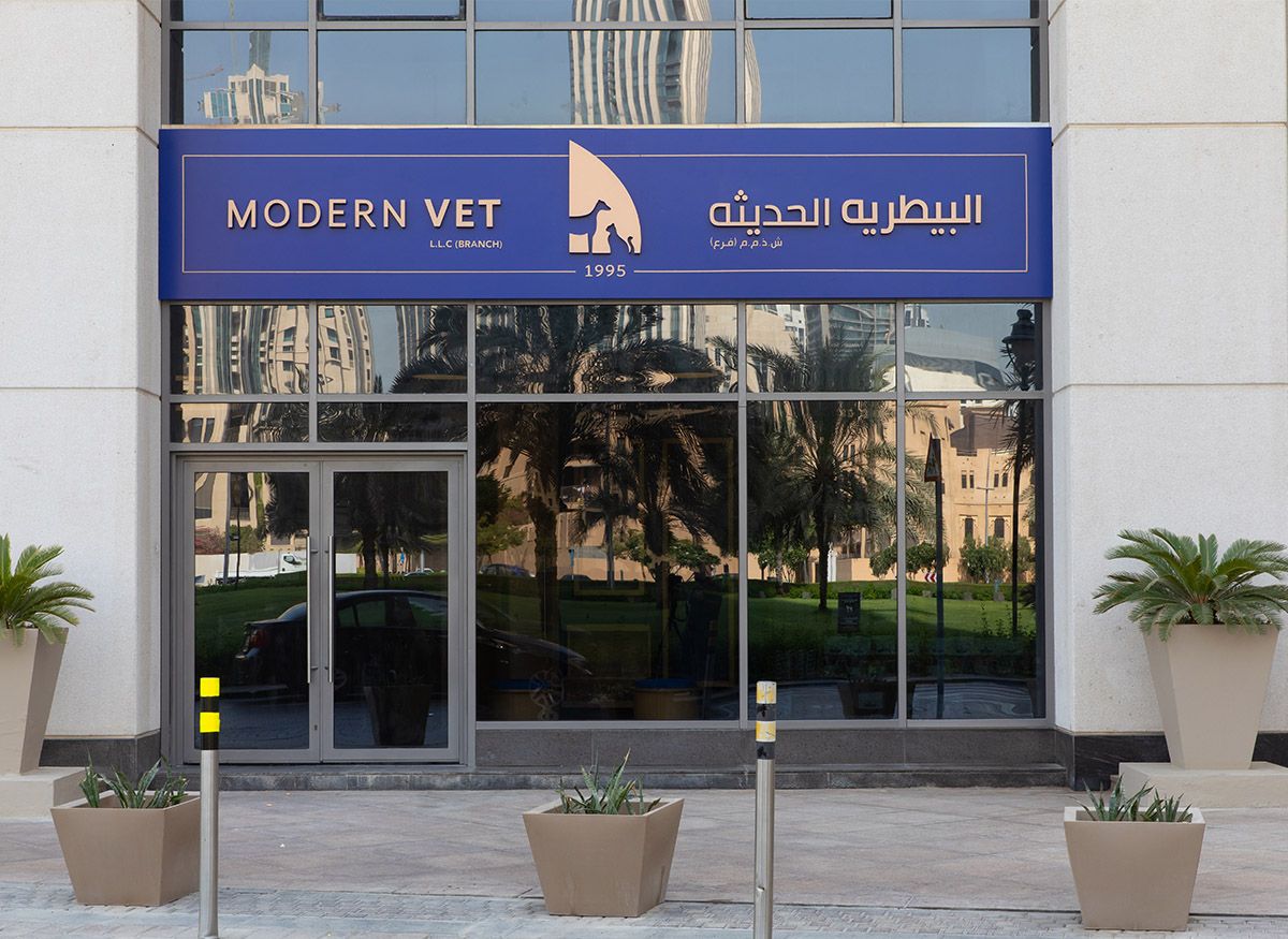 Modern Vet Downtown 2
