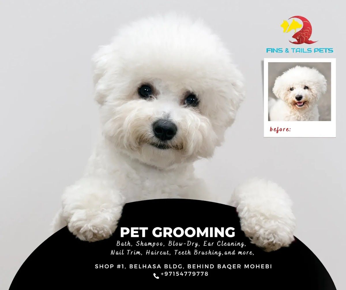 Fins & Tails Pets 3