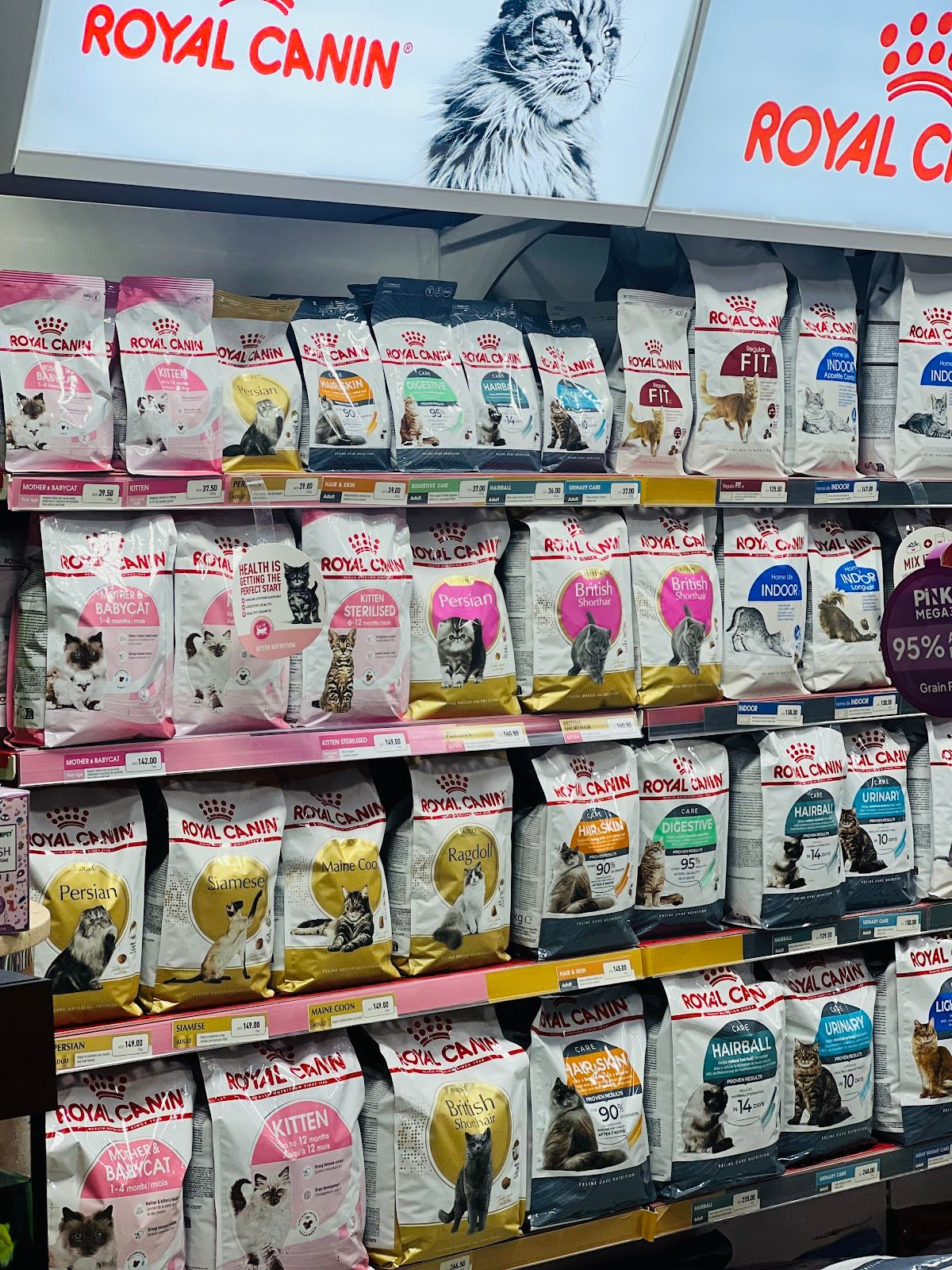 Pets Gallery Dubai 2