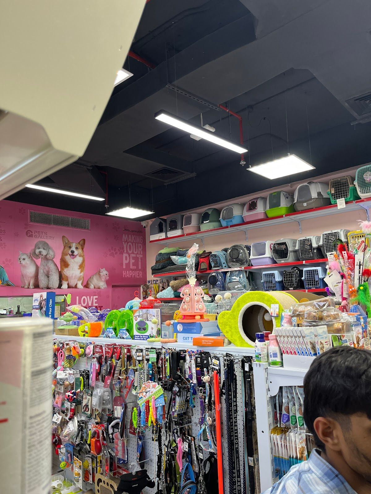Pets Gallery Dubai 3