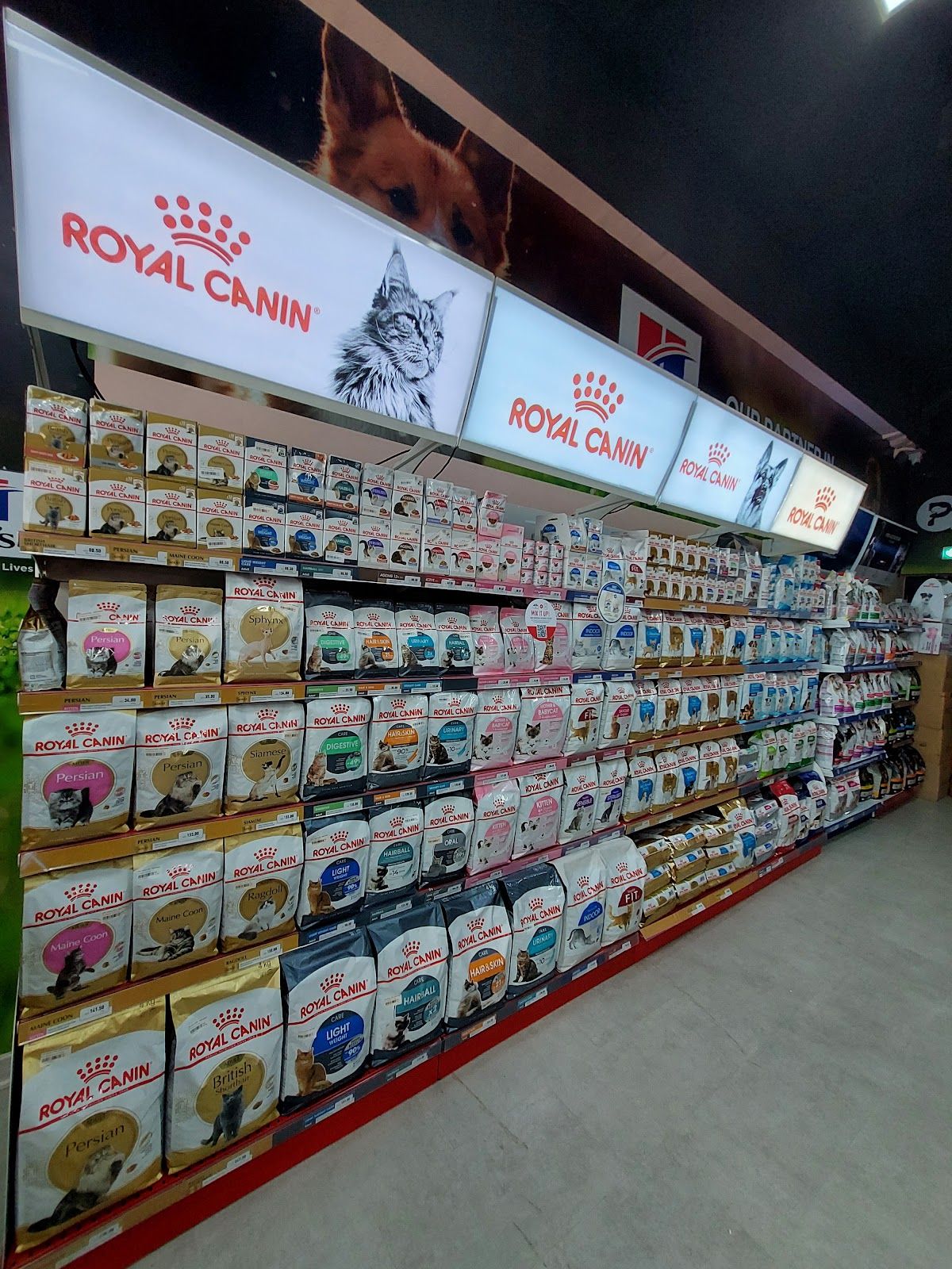 Pets Gallery Dubai 4