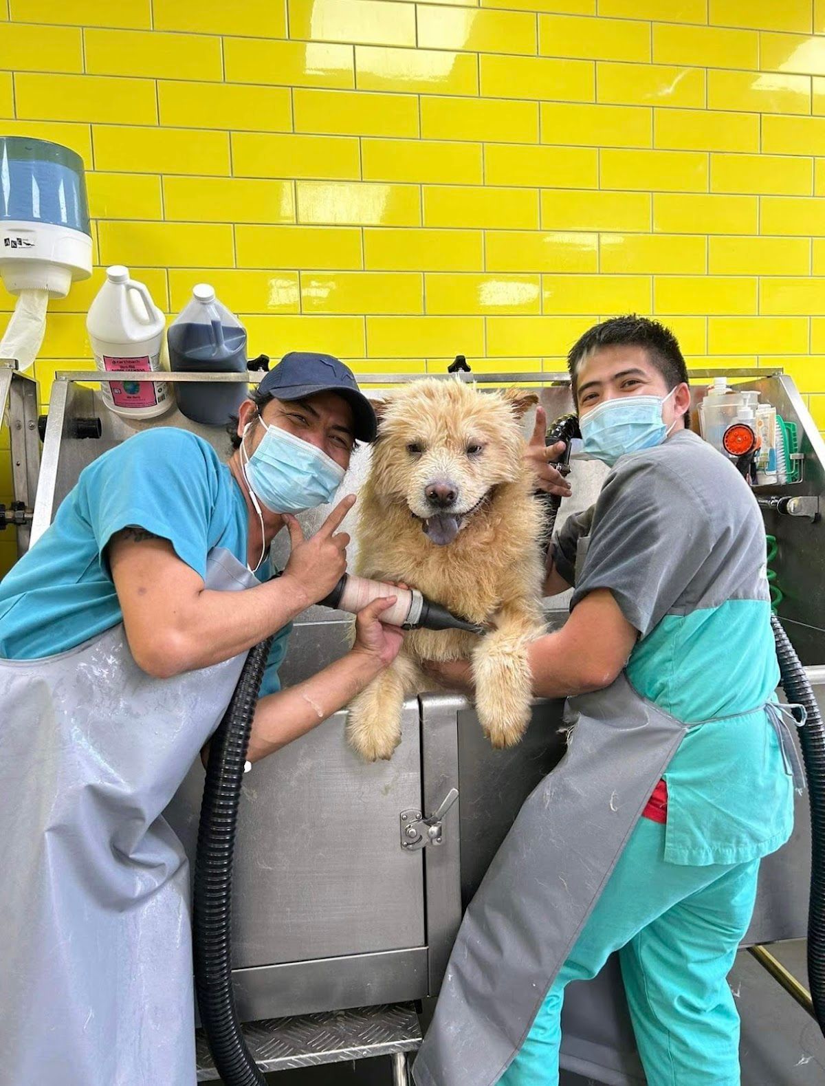 Vet Plus Center 5