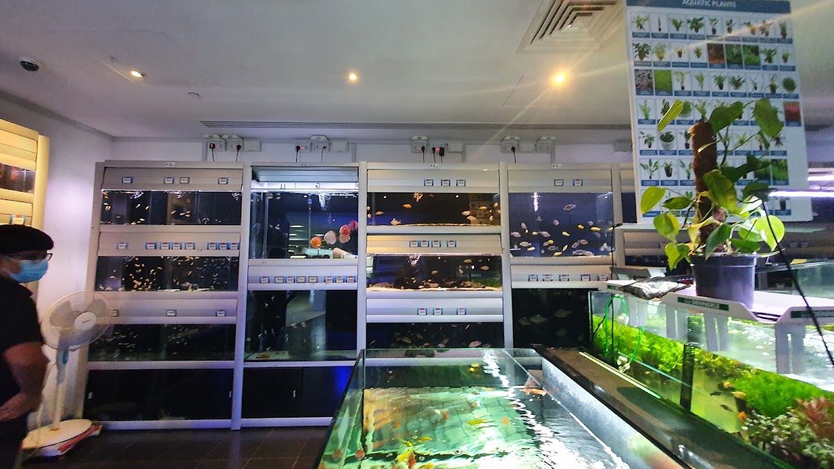 Pet World - The Springs Souk 5