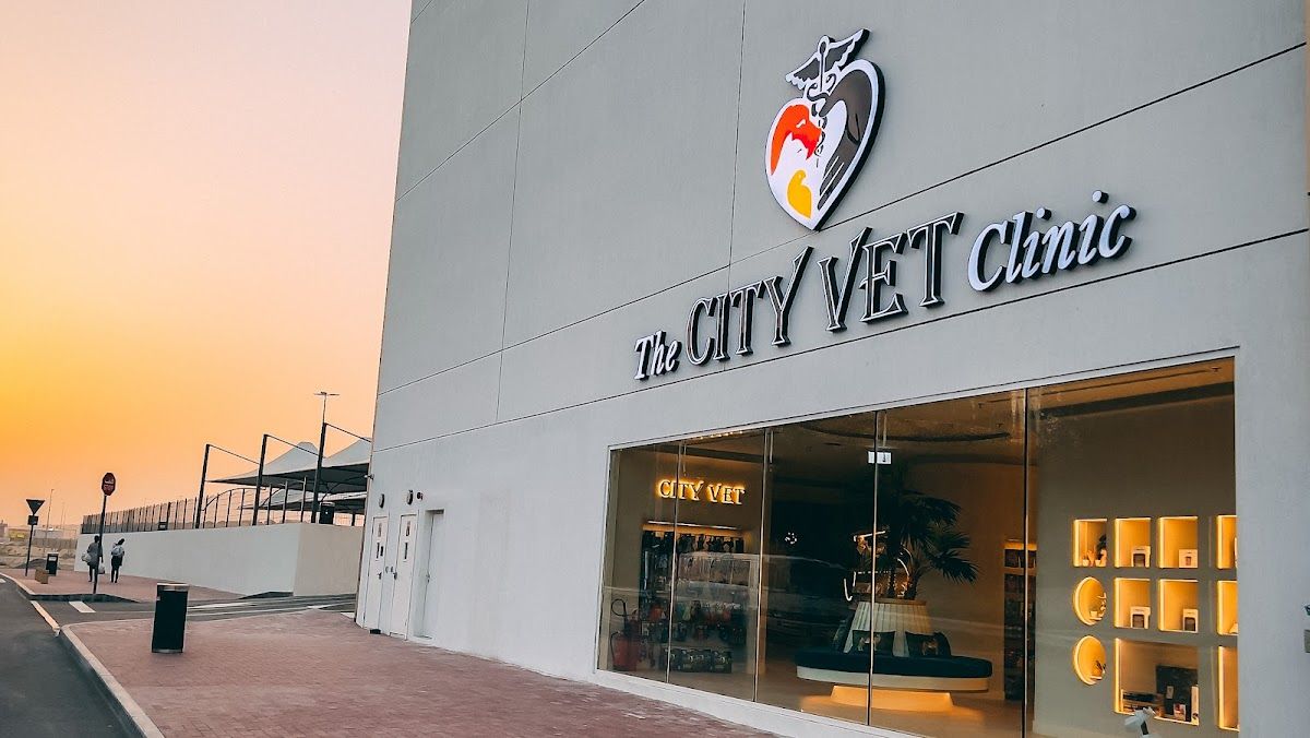 The City Vet Clinic - Al Warqa City Mall 2