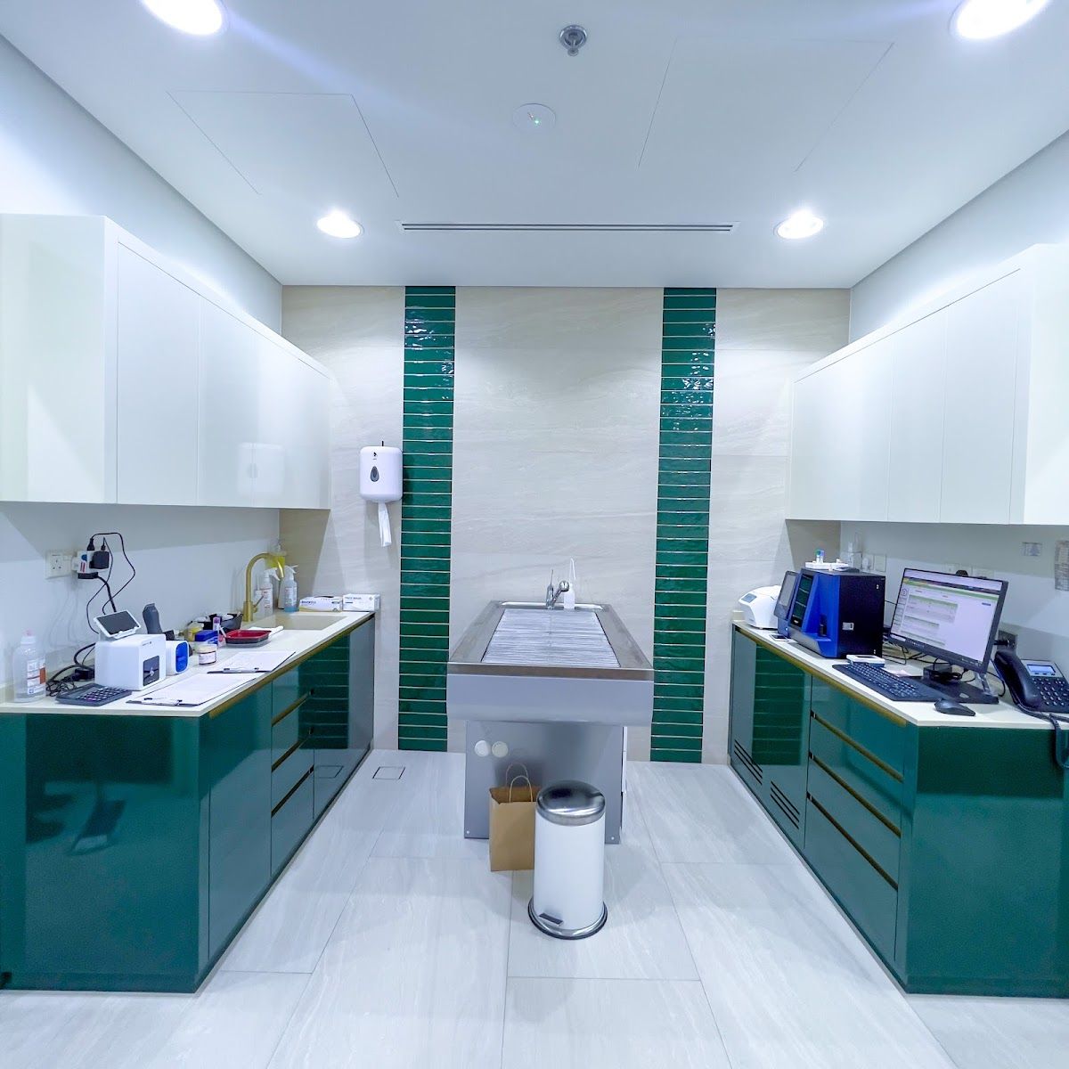 The City Vet Clinic - Al Warqa City Mall 3