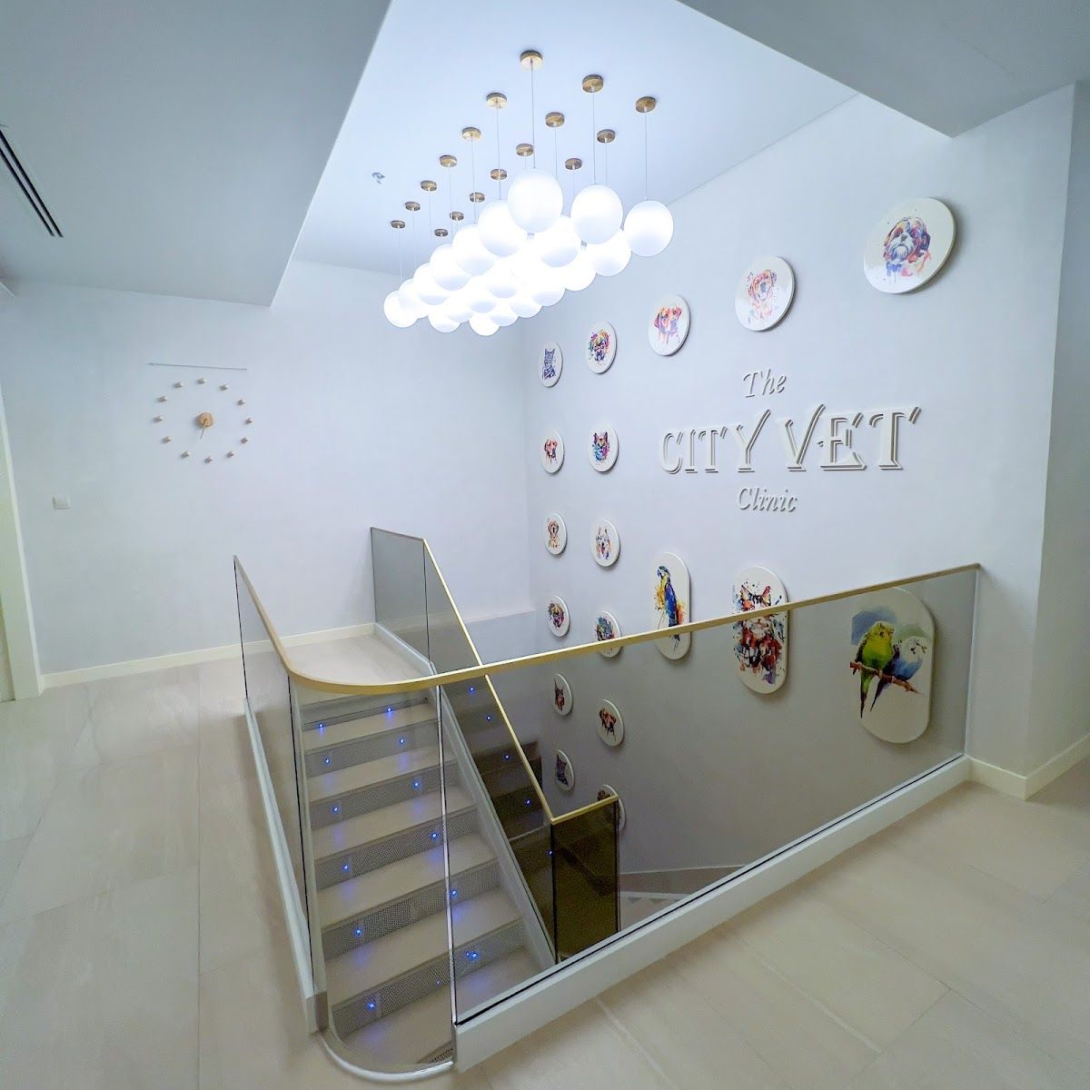 The City Vet Clinic - Al Warqa City Mall 4