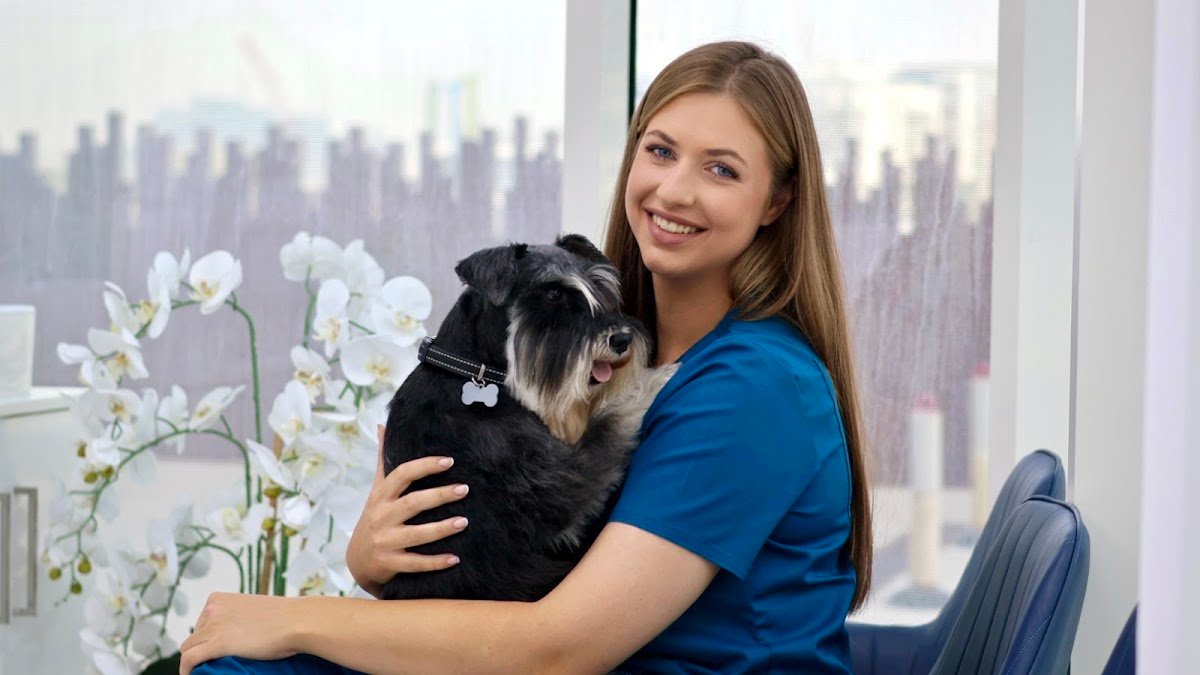 Best Pet Vet - Veterinary clinic