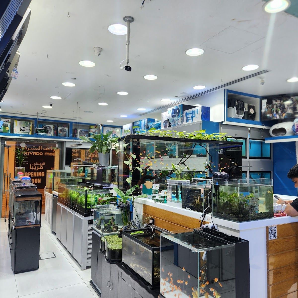 PetCare - Mushrif Mall 2