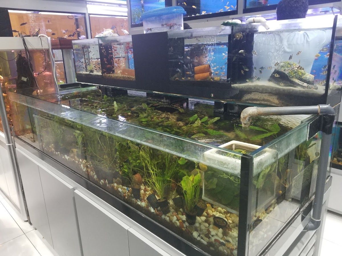 PetCare - Mushrif Mall 5
