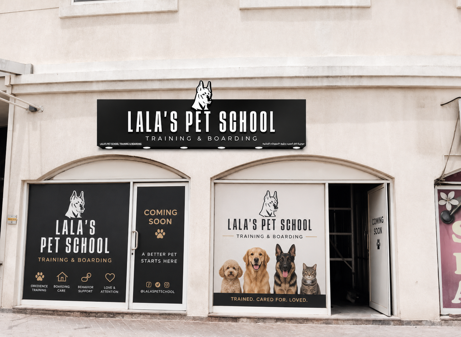 Lala's Pet School photo 4