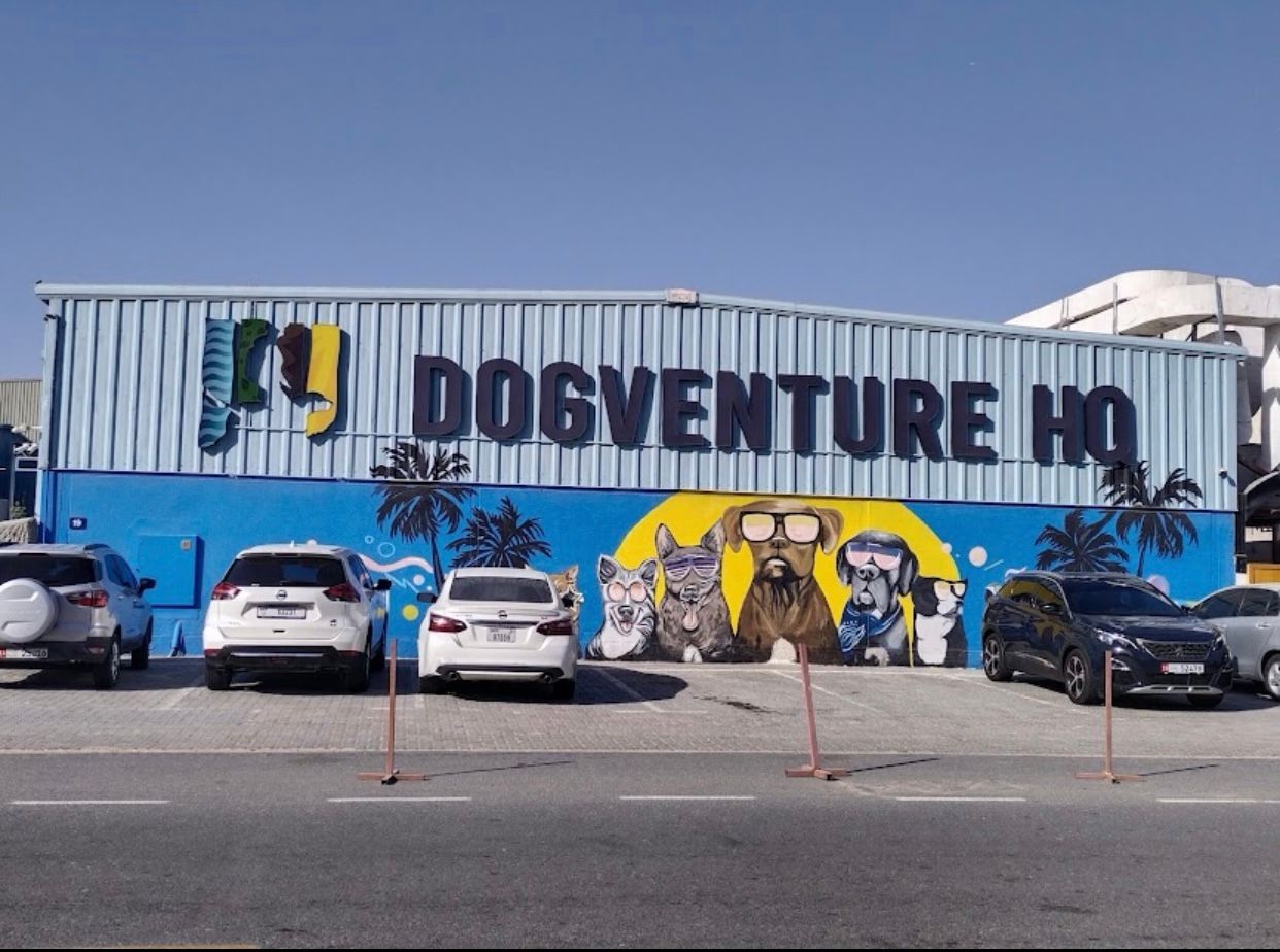 Dogventure HQ - Daycare, Boarding, Grooming & More 3