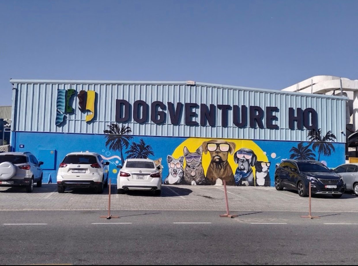 Dogventure HQ - Daycare, Boarding, Grooming & More photo 3