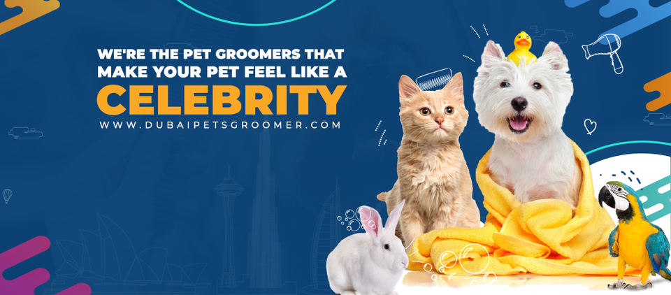 Dubai Pets Groomer