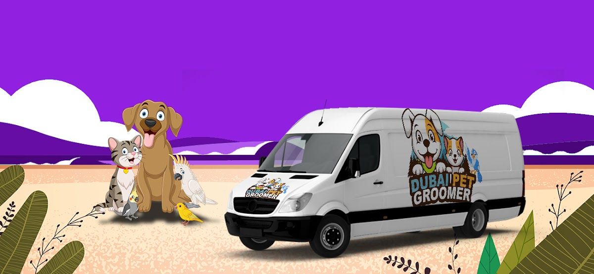 Dubai Pets Groomer 3