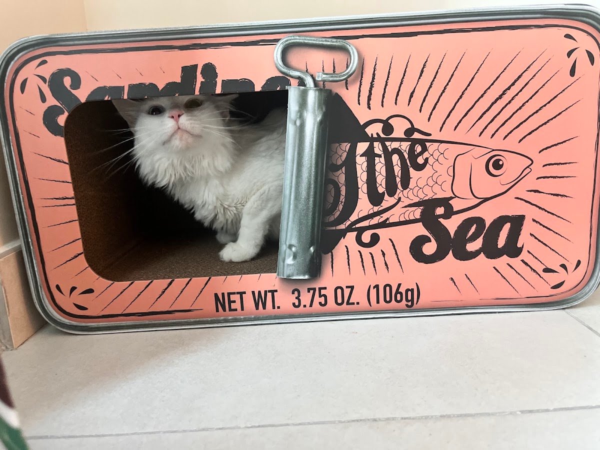 Pet's Delight photo 2