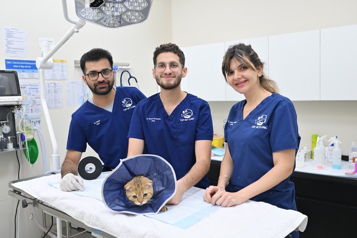 Top Vet Clinic