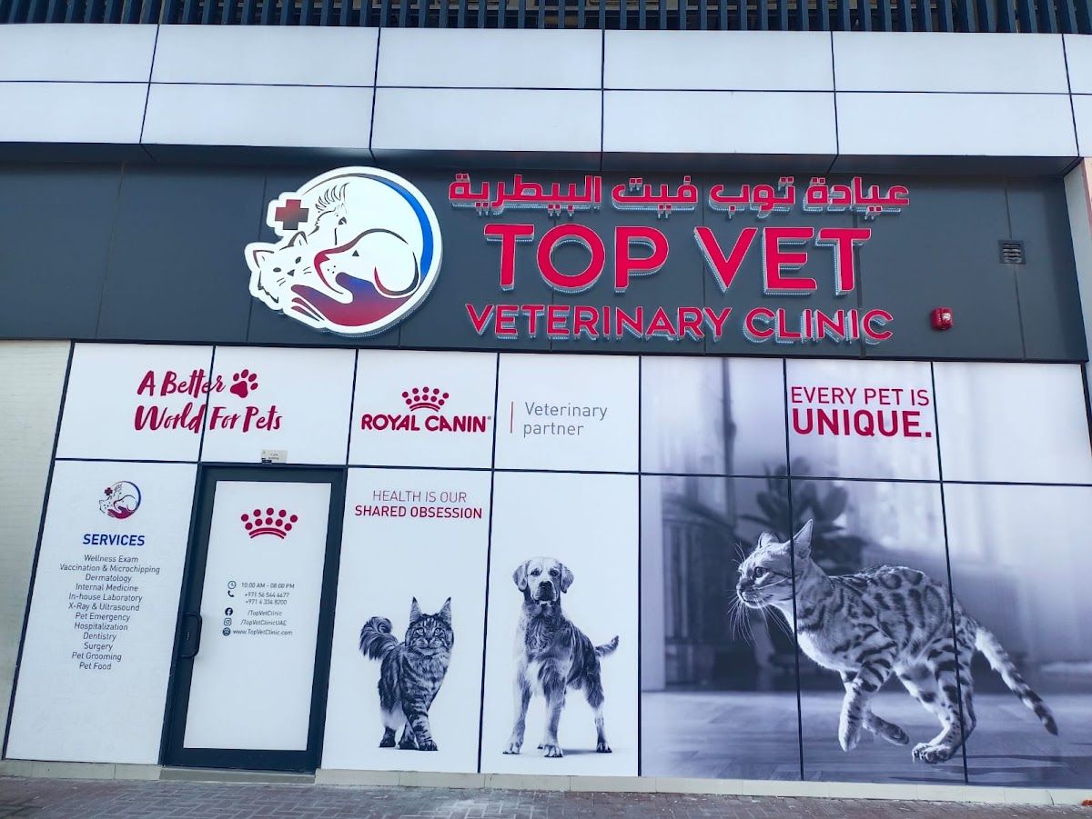 Top Vet Clinic 2